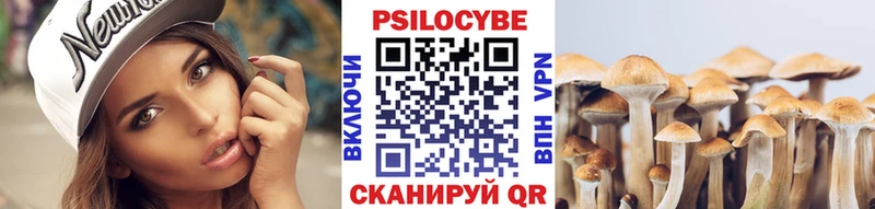 Псилоцибиновые грибы GOLDEN TEACHER  Никольское 